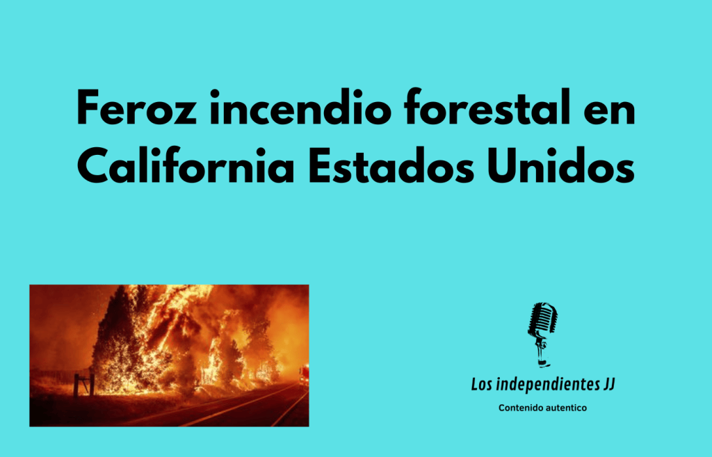 Feroz incendio forestal en California Estados&nbsp;Unidos